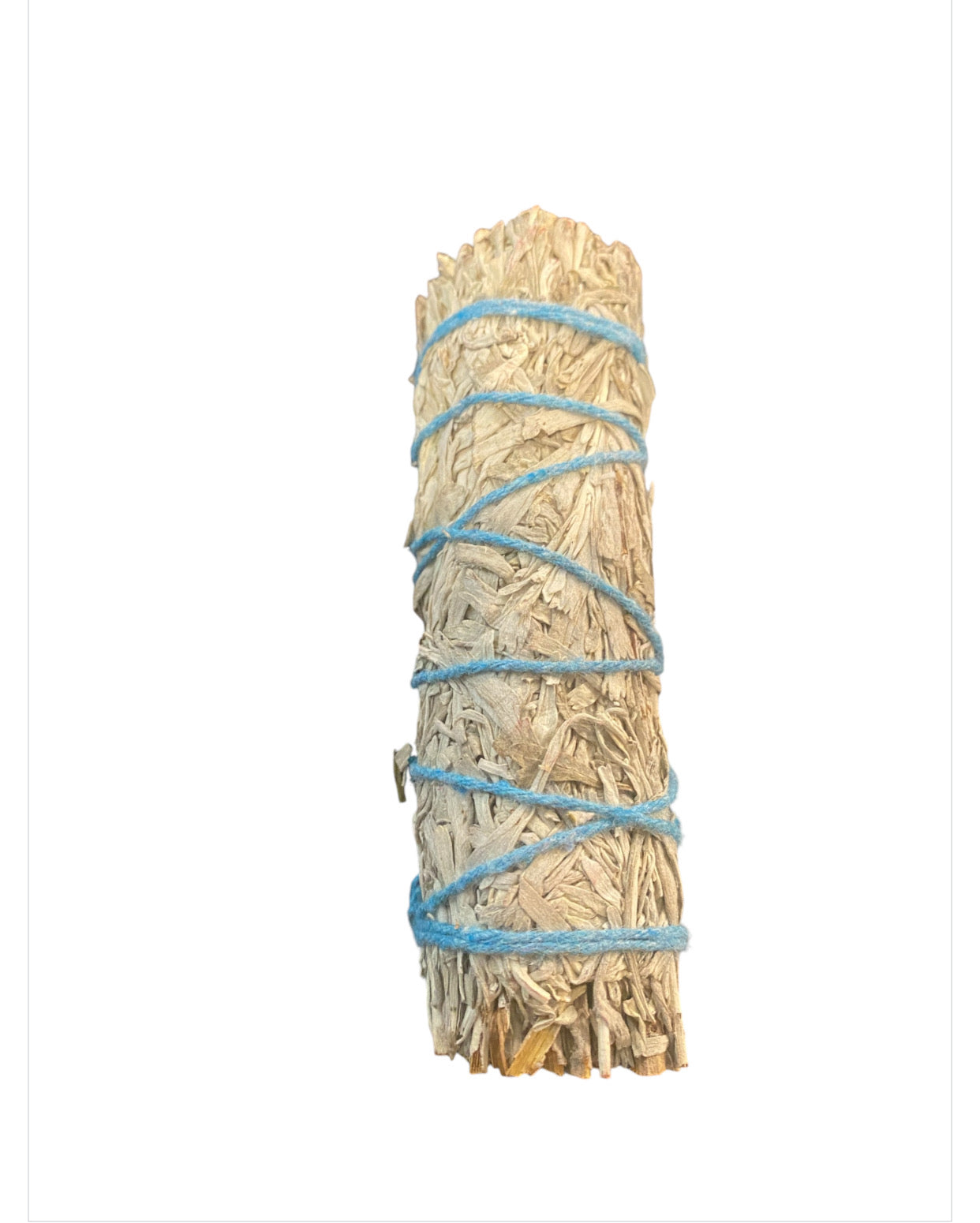 OUR 7 SAGE STICKS - NUESTRA 7 SALVIAS