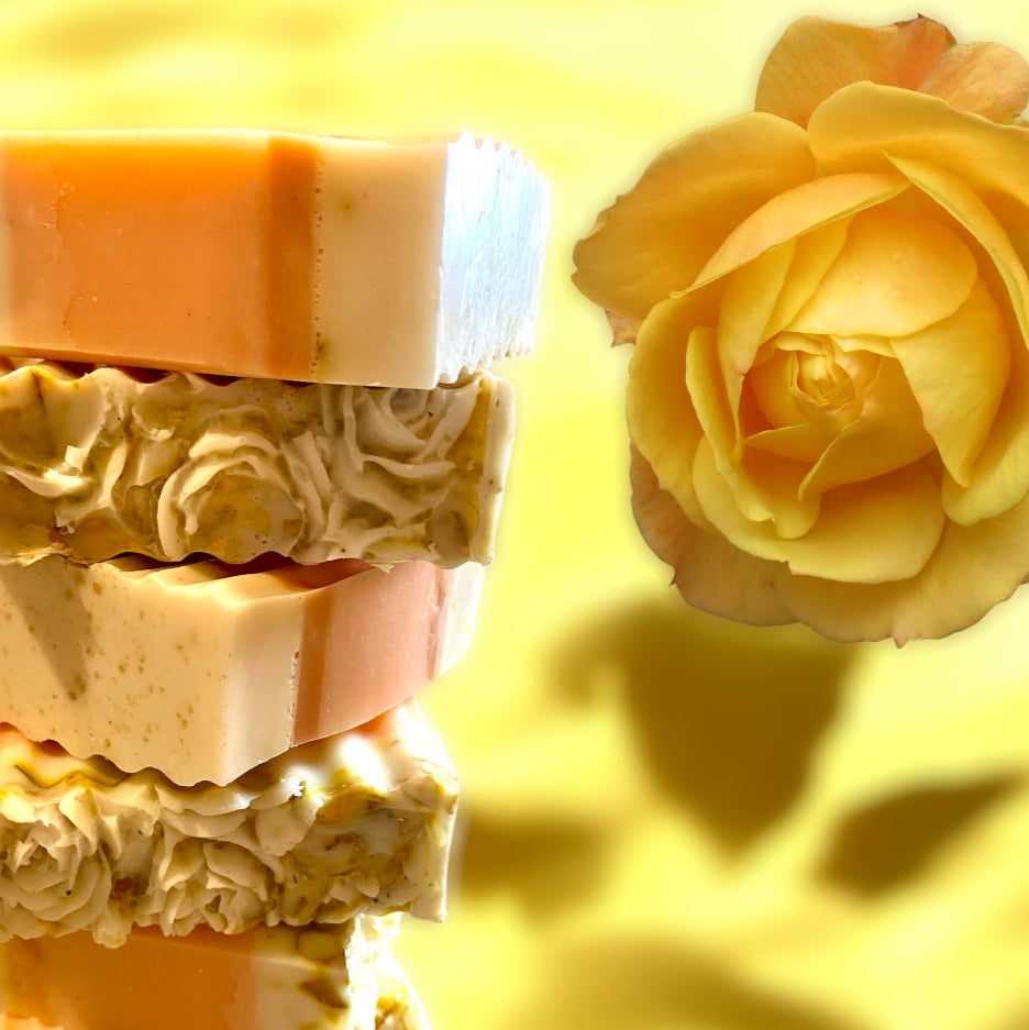 Yellow Rose " Spell of Romance" Rosa Amarilla